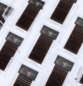 0.5 CC curl Dark Chocolate Mocha Lash Trays